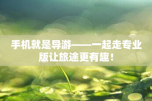 手机就是导游——一起走专业版让旅途更有趣！