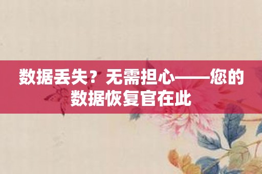 数据丢失？无需担心——您的数据恢复官在此