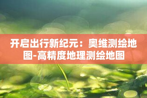 开启出行新纪元：奥维测绘地图-高精度地理测绘地图
