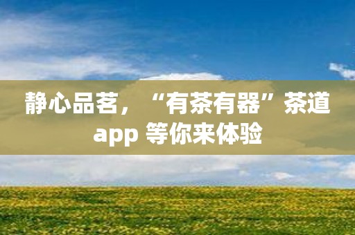 静心品茗，“有茶有器”茶道app 等你来体验