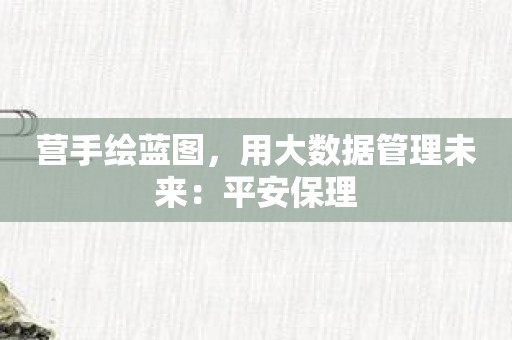 营手绘蓝图，用大数据管理未来：平安保理