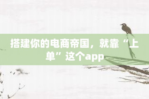 搭建你的电商帝国，就靠“上单”这个app
