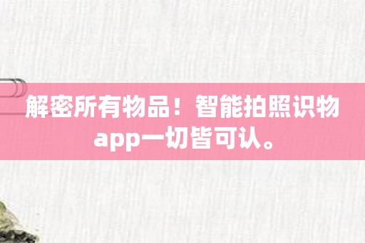 解密所有物品！智能拍照识物app一切皆可认。