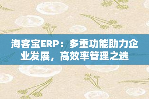海客宝ERP：多重功能助力企业发展，高效率管理之选