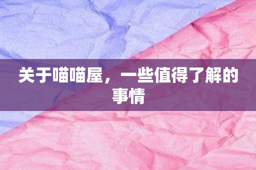 关于喵喵屋，一些值得了解的事情