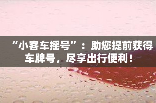 “小客车摇号”：助您提前获得车牌号，尽享出行便利！