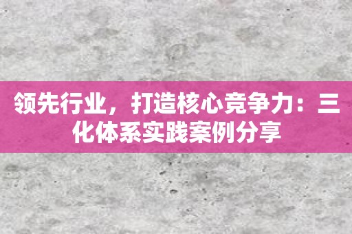 领先行业，打造核心竞争力：三化体系实践案例分享