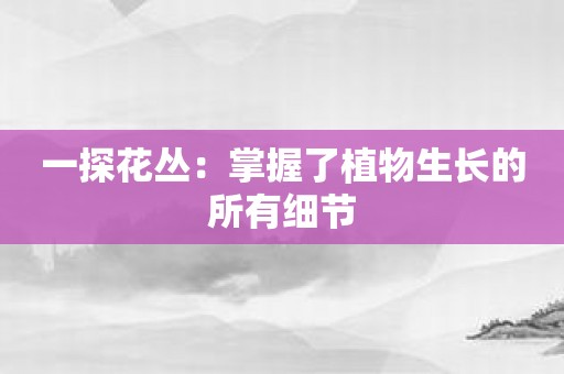 一探花丛：掌握了植物生长的所有细节