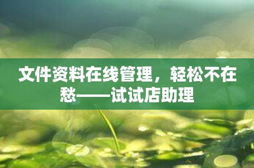 文件资料在线管理，轻松不在愁——试试店助理