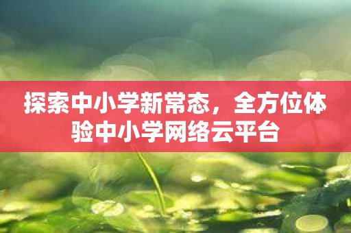探索中小学新常态，全方位体验中小学网络云平台