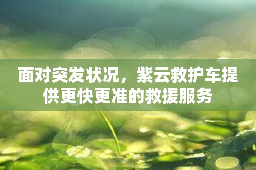面对突发状况，紫云救护车提供更快更准的救援服务