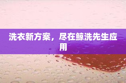 洗衣新方案，尽在鲸洗先生应用