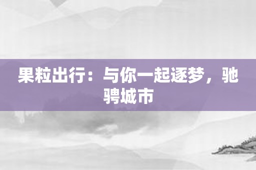 果粒出行：与你一起逐梦，驰骋城市