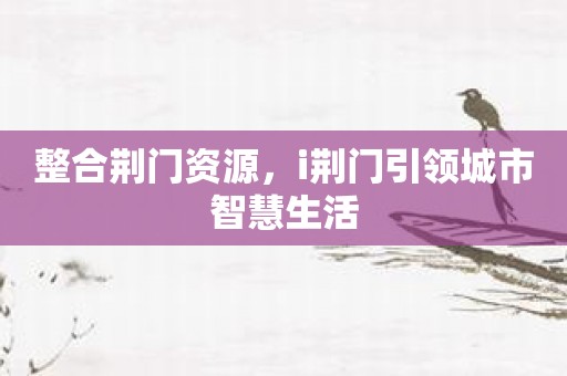 整合荆门资源，i荆门引领城市智慧生活