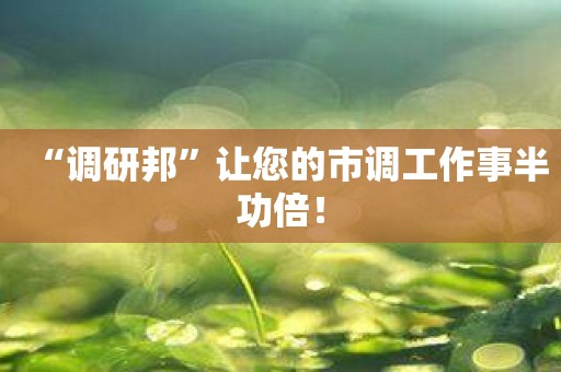 “调研邦”让您的市调工作事半功倍！