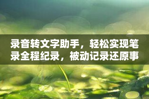 录音转文字助手，轻松实现笔录全程纪录，被动记录还原事实！