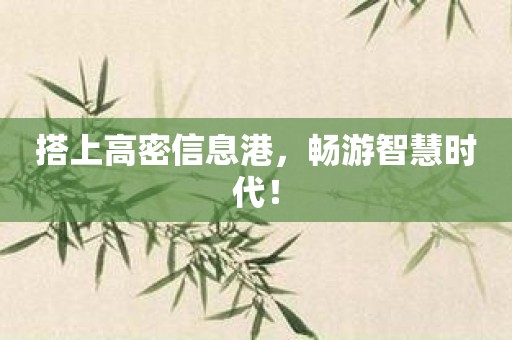 搭上高密信息港，畅游智慧时代！