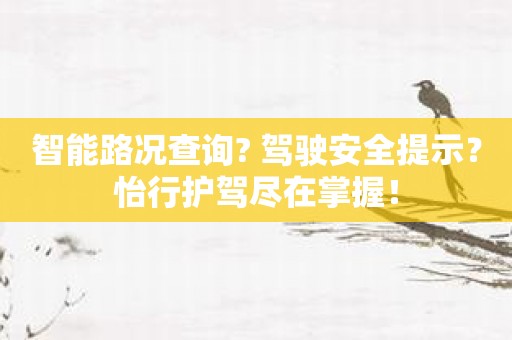 智能路况查询? 驾驶安全提示？怡行护驾尽在掌握！