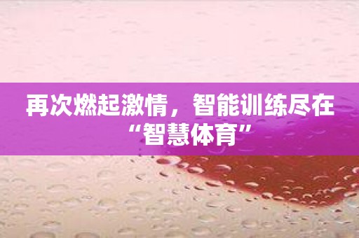 再次燃起激情，智能训练尽在“智慧体育”