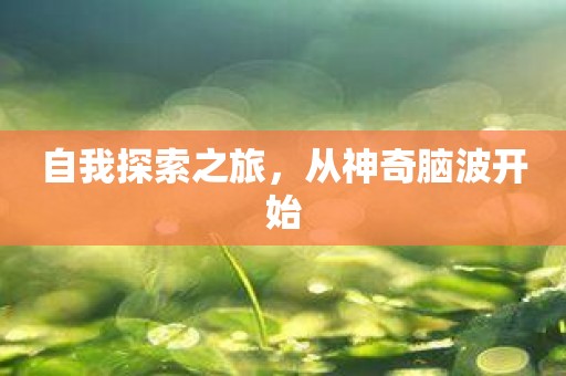 自我探索之旅，从神奇脑波开始