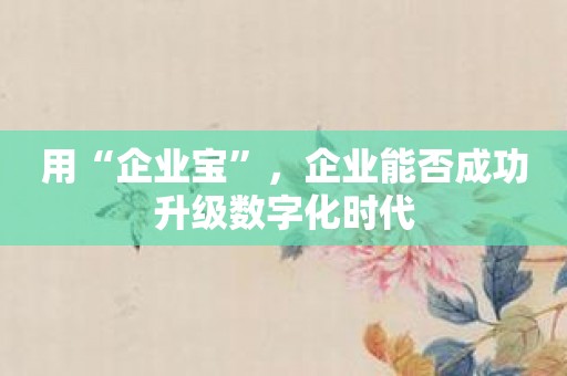 用“企业宝”，企业能否成功升级数字化时代