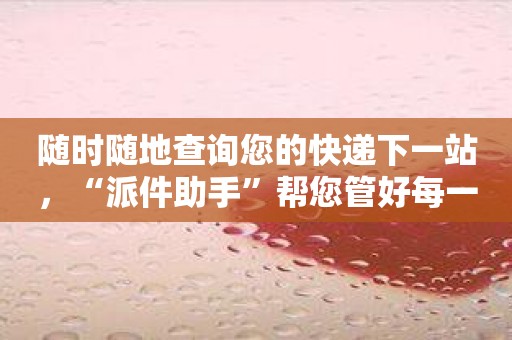 随时随地查询您的快递下一站，“派件助手”帮您管好每一件事！