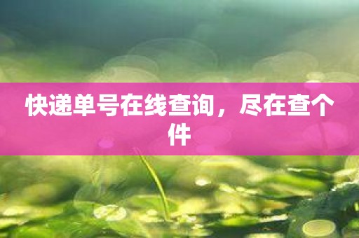 快递单号在线查询，尽在查个件