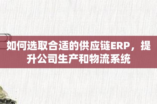 如何选取合适的供应链ERP，提升公司生产和物流系统