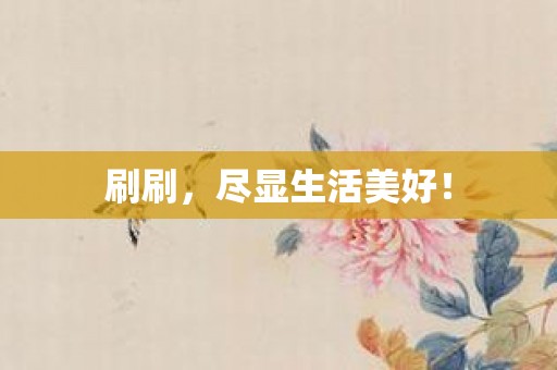刷刷，尽显生活美好！