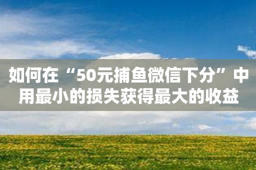 如何在“50元捕鱼微信下分”中用最小的损失获得最大的收益？