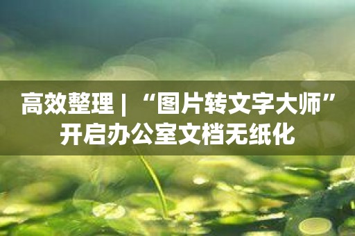 高效整理 