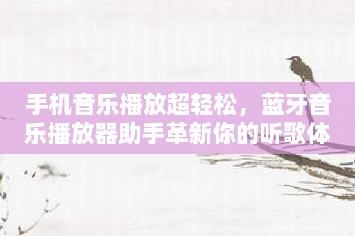 手机音乐播放超轻松，蓝牙音乐播放器助手革新你的听歌体验