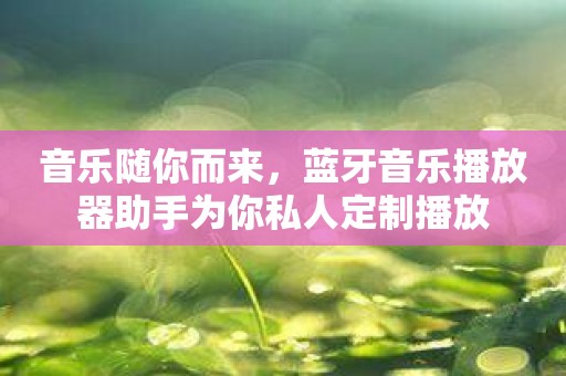 音乐随你而来，蓝牙音乐播放器助手为你私人定制播放