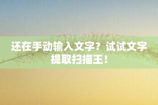 还在手动输入文字？试试文字提取扫描王！