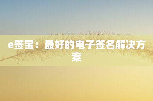 e签宝：最好的电子签名解决方案