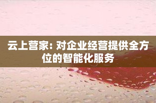云上营家: 对企业经营提供全方位的智能化服务
