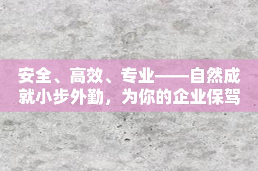 安全、高效、专业——自然成就小步外勤，为你的企业保驾护航