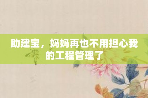 助建宝，妈妈再也不用担心我的工程管理了