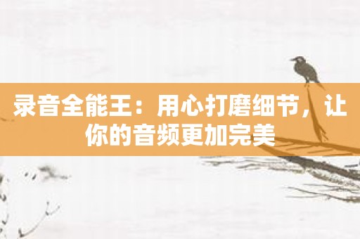 录音全能王：用心打磨细节，让你的音频更加完美
