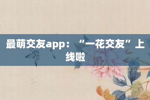 最萌交友app：“一花交友”上线啦