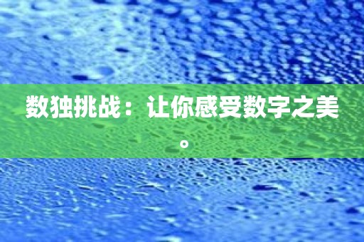 数独挑战：让你感受数字之美。