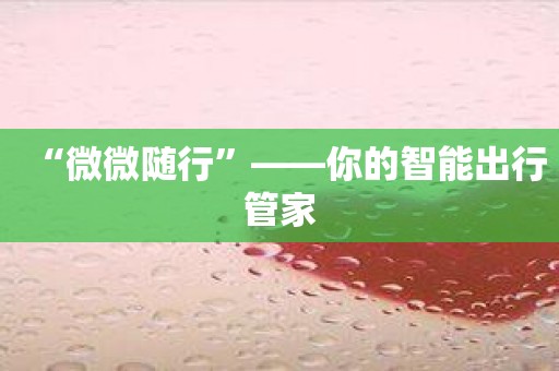 “微微随行”——你的智能出行管家