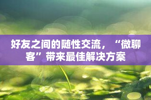 好友之间的随性交流，“微聊客”带来最佳解决方案