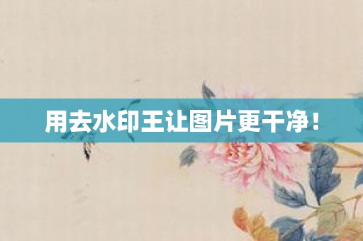 用去水印王让图片更干净！