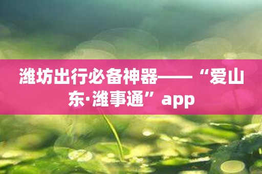 潍坊出行必备神器——“爱山东·潍事通”app