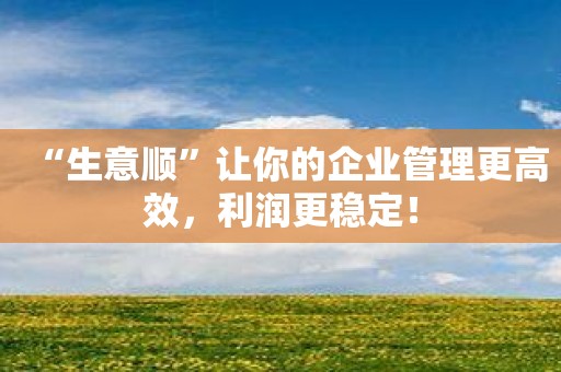 “生意顺”让你的企业管理更高效，利润更稳定！