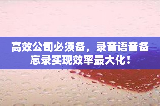 高效公司必须备，录音语音备忘录实现效率最大化！