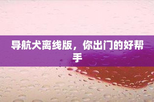 导航犬离线版，你出门的好帮手