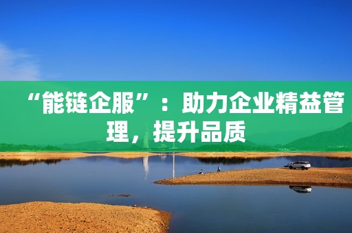“能链企服”：助力企业精益管理，提升品质