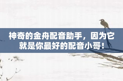 神奇的金舟配音助手，因为它就是你最好的配音小哥！